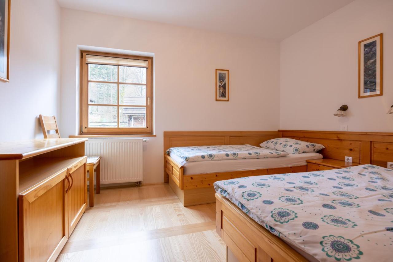 Apartment Brina