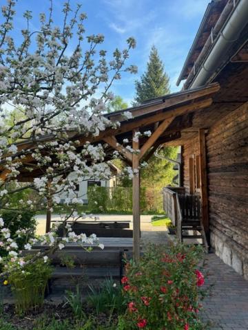 Apartment Brina Bohinj