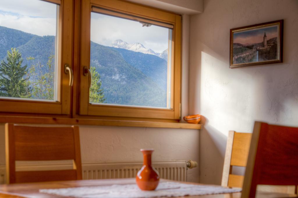 Appartement Brina Bohinj